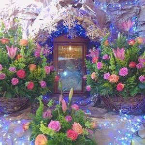 Meet your Posher, Aidee